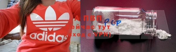 ECSTASY Богородск