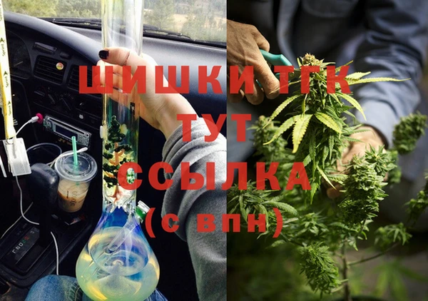 ECSTASY Богородск