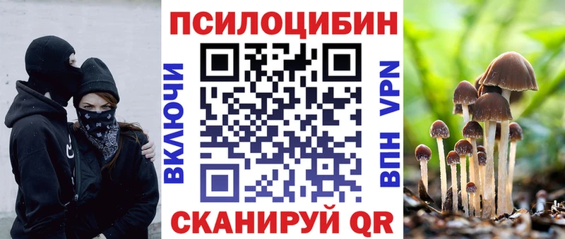 Псилоцибиновые грибы Psilocybe  Краснотурьинск 